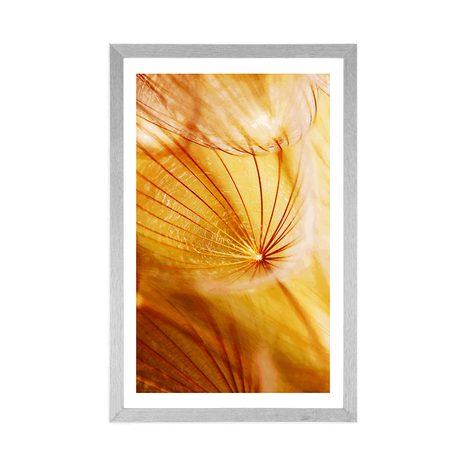 POSTER MIT PASSEPARTOUT PUSTEBLUME IM SCHÖNEN DESIGN - POSTER