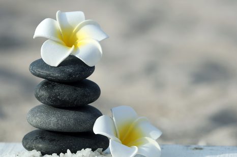 ΕΙΚΌΝΑ ΑΠΌ ΑΡΜΟΝΙΚΈΣ ΠΈΤΡΕΣ ΚΑΙ ΛΟΥΛΟΎΔΙ PLUMERIA - ΠΊΝΑΚΕΣ ΦΕΝΓΚ ΣΟΎΙ - ΠΊΝΑΚΕΣ