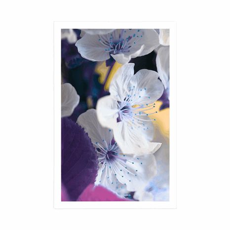 PLAKÁT KVETOUCÍ VĚTVIČKA TŘEŠNĚ - KVĚTINY - PLAKÁTY