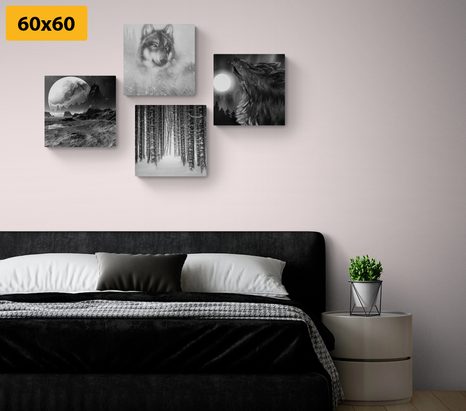 KOMPLET SLIK SKRIVNOSTEN VOLK V ČRNOBELI IZVEDBI - KOMPLETI SLIK - SLIKE