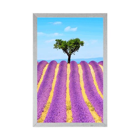 POSTER PROVENZALISCHES LAVENDELFELD - NATUR - POSTER