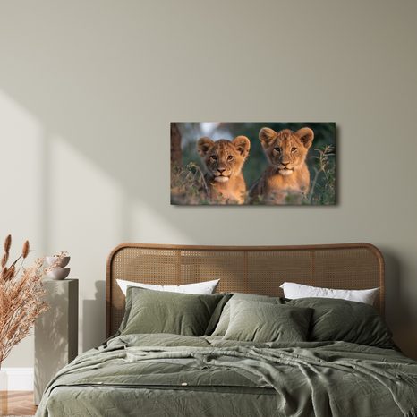 OBRAZ DVOJICE MLADÝCH LVŮ - OBRAZY LVI A TYGŘI - OBRAZY