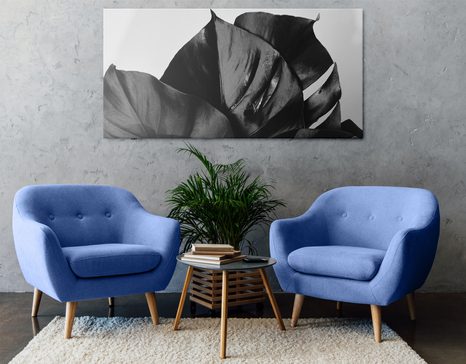 OBRAZ ČIERNOBIELY LIST MONSTERY - ČIERNOBIELE OBRAZY - OBRAZY