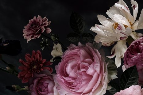 ÖNTAPADÓ FOTÓTAPÉTA VIRÁGCSOKOR RÉSZLETES NÉZETBEN - TAPÉTÁK - 🔥 TELJES KIÁRUSÍTÁS