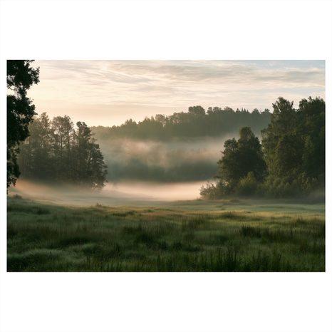 TABLEAU SUR TOILE – MATIN BRUMEUX AU-DESSUS D’UNE PRAIRIE - TABLEAUX DE CHAMPS ET PRAIRIES - TABLEAUX