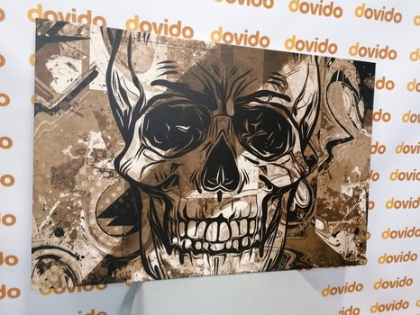 KÉP KOPONYA SZÉPIA KIVITELBEN - FEKETE-FEHÉR KÉPEK - KÉPEK