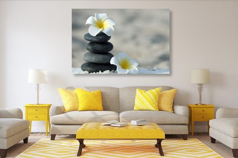 ΕΙΚΌΝΑ ΑΠΌ ΑΡΜΟΝΙΚΈΣ ΠΈΤΡΕΣ ΚΑΙ ΛΟΥΛΟΎΔΙ PLUMERIA - ΠΊΝΑΚΕΣ ΦΕΝΓΚ ΣΟΎΙ - ΠΊΝΑΚΕΣ