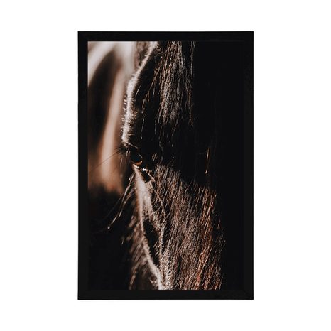 POSTER MAJESTÄTISCHES PFERD - TIERE - POSTER