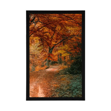 PLAKAT PREKRASNA ŠUMA U JESENJE DOBA - PRIRODA - PLAKATI