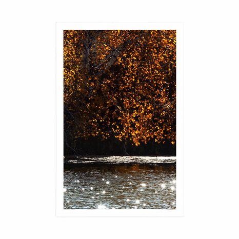 PLAKÁT ODRAZ LISTÍ V JEZEŘE - PŘÍRODA - PLAKÁTY