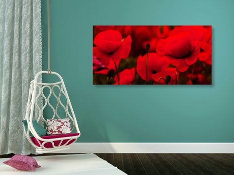 OBRAZ KRÁSNÉ POLE VLČÍCH MÁKŮ - OBRAZY KVĚTŮ - OBRAZY