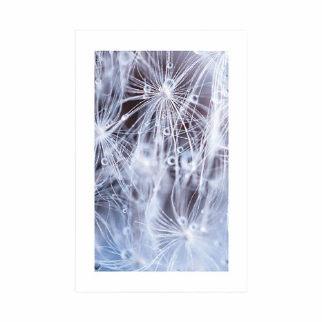 POSTER – MACRO DENTE DI LEONE - FIORI - POSTER