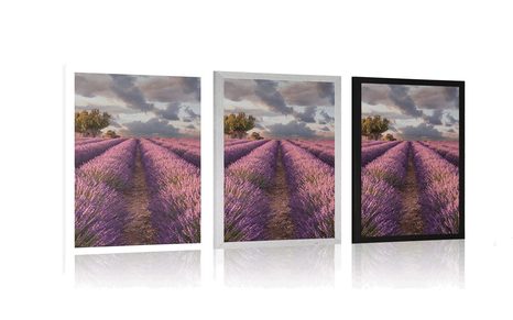 PLAKÁT ZEMĚ LEVANDULOVÝCH POLÍ - PŘÍRODA - PLAKÁTY