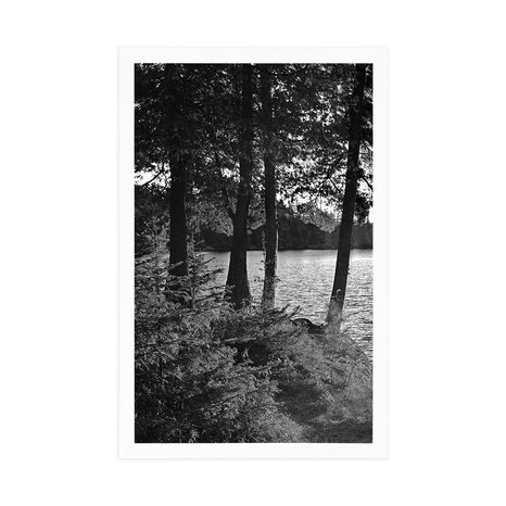 POSTER VIEW OF THE LAKE IN BLACK AND WHITE - BLACK AND WHITE - POSTERS