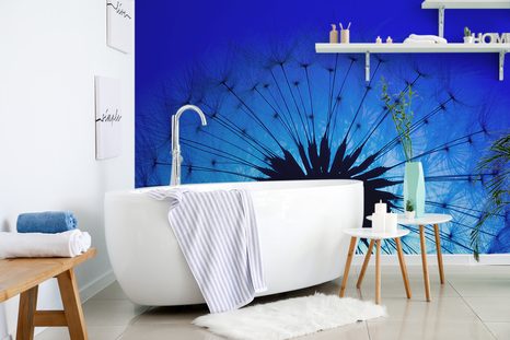 TAPETA MODRÁ PAMPELIŠKA - TAPETY KVĚTINY - TAPETY