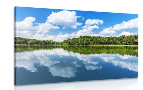 CANVAS PRINT NATURE IN SUMMER