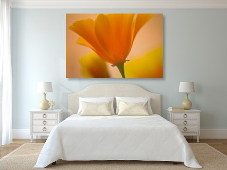 SLIKA ČUDOVITI CVET - SLIKE ROŽ - SLIKE