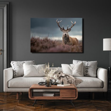 OBRAZ MAJESTÁTNÍ JELEN V PŘÍRODĚ - OBRAZY JELENI - OBRAZY