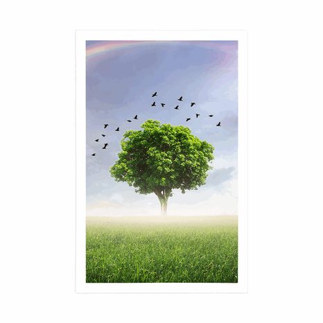 AFFICHE – ARBRE SOLITAIRE DANS LA PRAIRIE - NATURE - AFFICHES