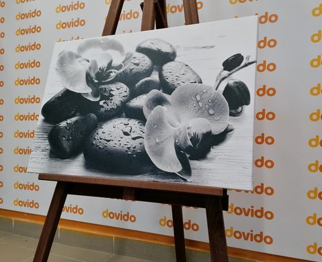 OBRAZ KRÁSNÁ SOUHRA KAMENŮ A ORCHIDEJE V ČERNOBÍLÉM PROVEDENÍ - ČERNOBÍLÉ OBRAZY - OBRAZY