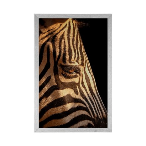 PLAKAT PORTRET ZEBRE - ŽIRAFE IN ZEBRE - PLAKATI