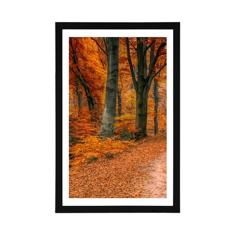 POSZTER PASZPORTUVAL ERDŐ ŐSZI IDŐBEN - TERMÉSZETKÉPES - POSZTEREK