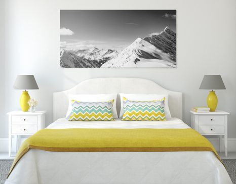 TABLOU PEISAJ ACOPERIT CU ZĂPADĂ ALB-NEGRU - TABLOURI ALB-NEGRU - TABLOURI