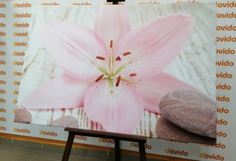 OBRAZ RUŽOVÁ ĽALIA A ZEN KAMENE - OBRAZY FENG SHUI - OBRAZY