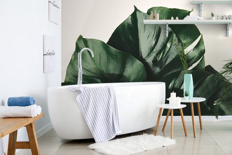 SAMOLEPÍCÍ FOTOTAPETA DOPIS MONSTERY - SAMOLEPÍCÍ TAPETY - TAPETY