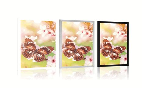 AFFICHE – FLEURS PRINTANIÈRES AVEC PAPILLONS EXOTIQUES - ANIMAUX - AFFICHES