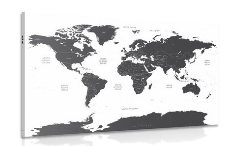 CANVAS PRINT WORLD MAP WITH INDIVIDUAL STATES IN GRAY COLOR - PICTURES OF MAPS - PICTURES