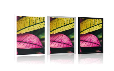 PLAKAT SVJEŽI LISTOVI - PRIRODA - PLAKATI