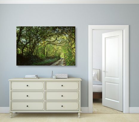 WANDBILD MÄRCHENWALD - BILDER VON NATUR UND LANDSCHAFT - BILDER