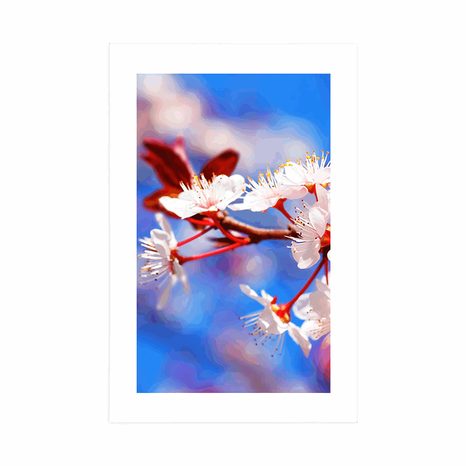 PLAGÁT S PASPARTOU ČEREŠŇOVÝ KVET - KVETY - PLAGÁTY