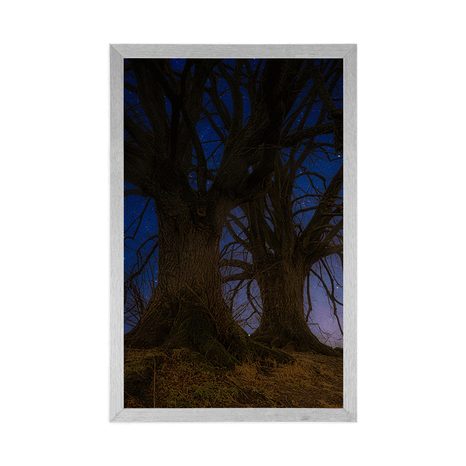PLAKÁT STROMY V NOČNÍ KRAJINĚ - PŘÍRODA - PLAKÁTY