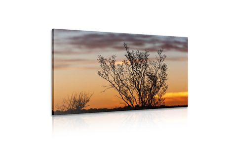 КАРТИНА НА ПЛАТНО – КЛОНКИ ПРИ ЗАЛЕЗ - КАРТИНИ НА ПРИРОДАТА И ПЕЙЗАЖИ - КАРТИНИ