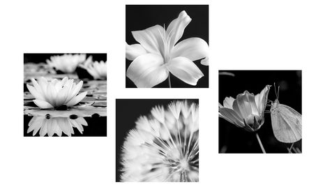 SET OBRAZŮ KVĚTINY S MOTÝLEM V ČERNOBÍLÉM - SESTAVY OBRAZŮ - OBRAZY
