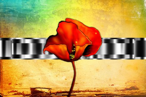 SAMOLEPÍCÍ TAPETA ABSTRAKTNÍ VLČÍ MÁK - SAMOLEPÍCÍ TAPETY - TAPETY