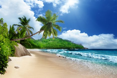 CARTA DA PARATI – SPLENDIDA SPIAGGIA SULL'ISOLA DI SEYCHELLES - CARTA DA PARATI - 🔥 SVENDITA TOTALE