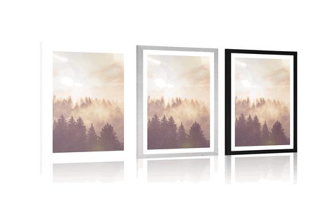 POSTER – NEBBIA SOPRA LA FORESTA - NATURA - POSTER