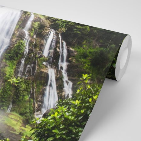 ΤΟΙΧΟΓΡΑΦΊΑ ΘΑΎΜΑ ΤΗΣ ΦΎΣΗΣ - ΤΑΠΕΤΣΑΡΊΑ ΦΎΣΗ - ΤΑΠΕΤΣΑΡΊΕΣ