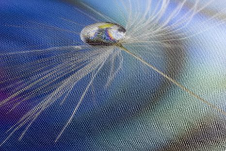 SLIKA KAPLJA ROSE NA ABSTRAKTNEM OZADJU - ABSTRAKTNE SLIKE - SLIKE