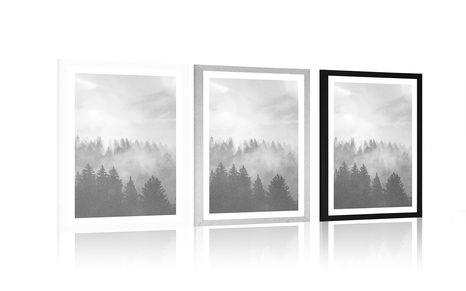 PLAGÁT S PASPARTOU HMLA NAD LESOM V ČIERNOBIELOM PREVEDENÍ - ČIERNOBIELE - PLAGÁTY