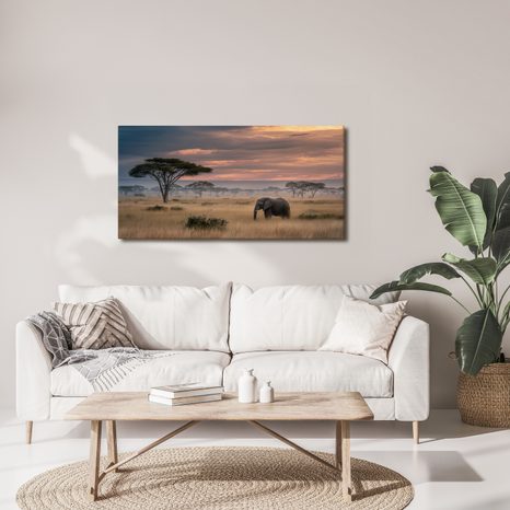 OBRAZ SLON NA SAVANĚ PŘI ZÁPADU - OBRAZY SLONI - OBRAZY