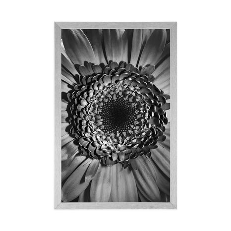 AFFICHE – GERBERA EN NOIR ET BLANC - NOIR ET BLANC - AFFICHES
