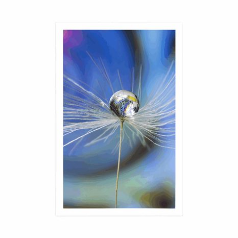 PLAGÁT KVAPKA ROSY NA FAREBNOM POZADÍ - KVETY - PLAGÁTY