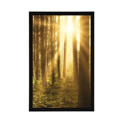 PLAKAT SONČNI VZHOD V GOZDU - NARAVA - PLAKATI