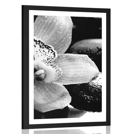 POSTER MIT PASSEPARTOUT EXOTISCHE ORCHIDEE IN SCHWARZ-WEISS - SCHWARZ-WEISS - POSTER