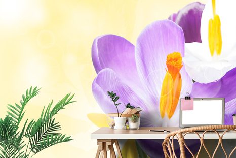 SAMOLEPÍCÍ TAPETA KVĚT V JARNÍM NÁDECHU - SAMOLEPÍCÍ TAPETY - TAPETY