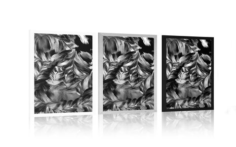 POSTER – TRATTI FLOREALI RETRÒ IN BIANCO E NERO - NERO E BIANCO - POSTER